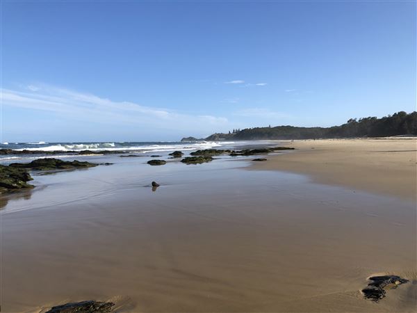 Nambucca Heads (9/10/2020 - Credits: Shannon Wheeler)