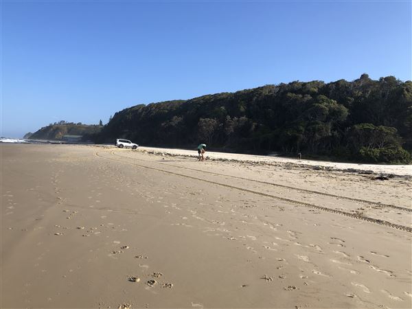 Nambucca Heads (9/10/2020 - Credits: Shannon Wheeler)