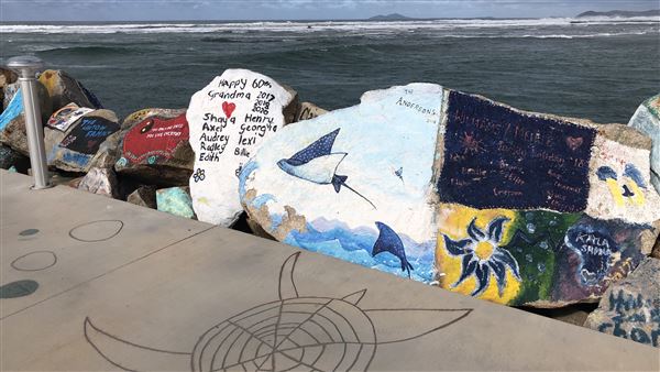 Nambucca Heads (9/10/2020 - Credits: Shannon Wheeler)
