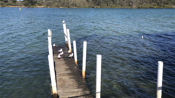 Nambucca Heads (9/10/2020 - Credits: Shannon Wheeler)