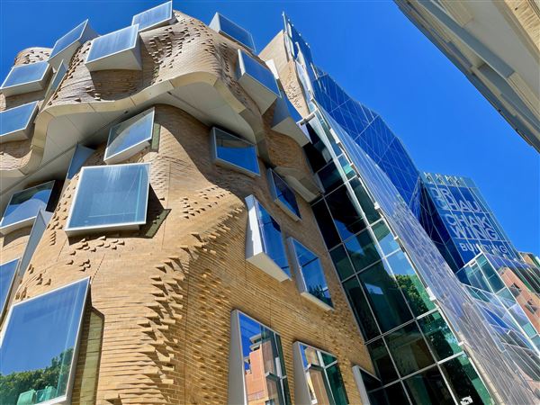 Dr Chau Chak Wing Building - University of Technology Sydney (17/10/2021 - Credits: Cheryl Conway)