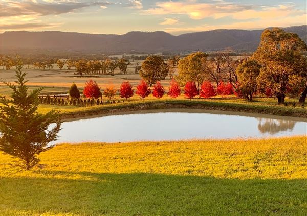 Hartvale Gardens and Cottage (30/10/2023 - Credits: Jennifer Edwards)