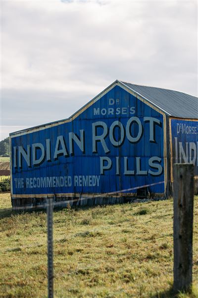 Indian Root Pills Tin Shed (28/10/2021 - Credits: Maitland City Council)