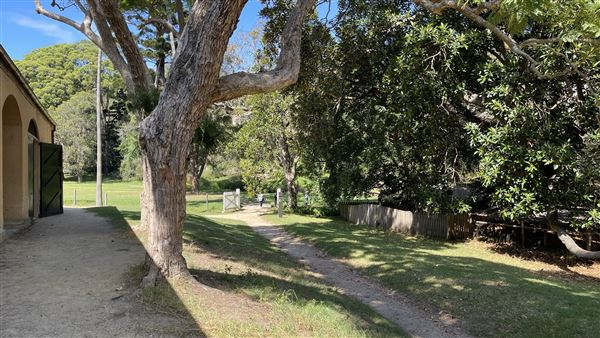 Vaucluse House (27/03/2024 - Credits: Shannon Wheeler)