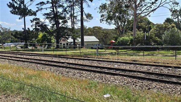 Buxton NSW (30/01/2024 - Credits: K McGuinness)
