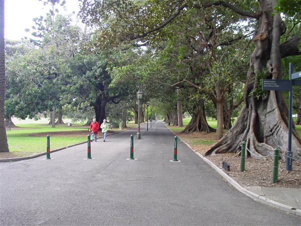The Domain (25/02/2013 11:38:05 AM)