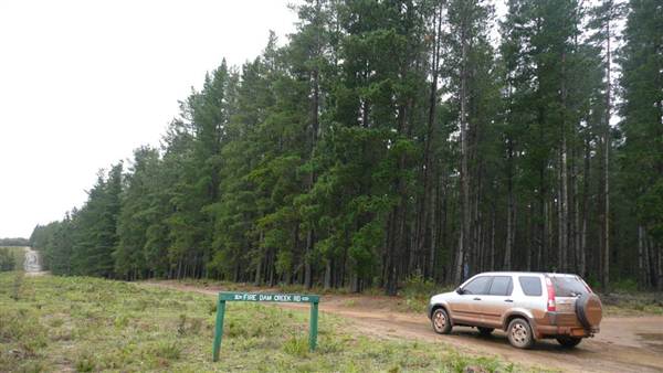 Belanglo State Forest (25/02/2013 3:33:09 PM)