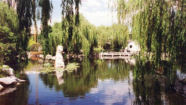 Chinese Garden of Friendship - Darling Harbour (27/02/2013 1:29:45 PM)