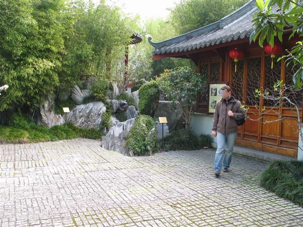 Chinese Garden of Friendship - Darling Harbour (27/02/2013 1:39:28 PM)