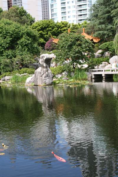Chinese Garden of Friendship - Darling Harbour (27/02/2013 1:40:05 PM)