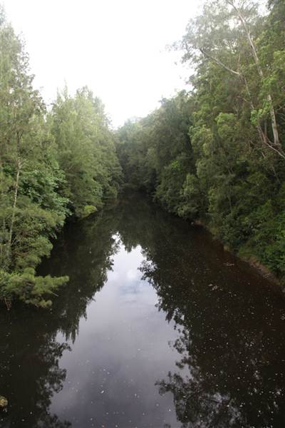 Kangaroo Valley River Suspension Bridge (27/02/2013 4:20:59 PM)