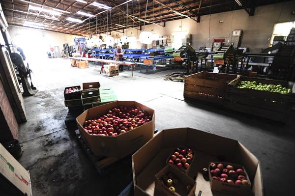 Daydawn Orchard (27/02/2013 7:05:35 PM)