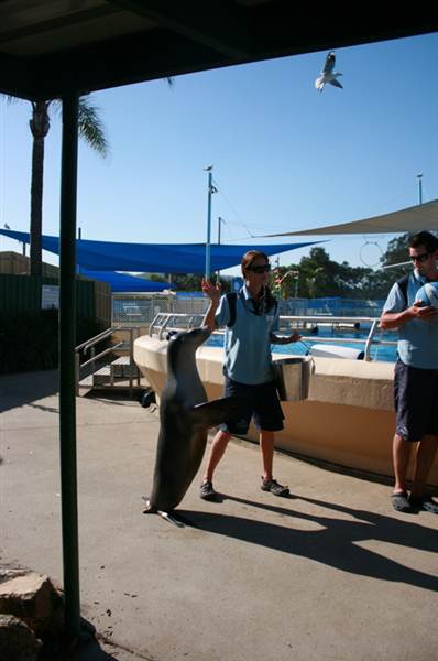 Dolphin Marine Magic (27/02/2013 10:44:06 PM)