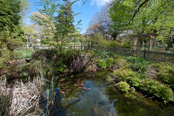 Lady Fairfax Gardens (28/02/2013 10:11:44 AM)