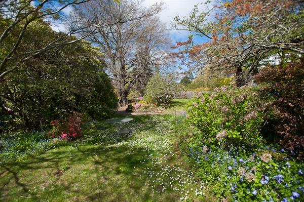 Lady Fairfax Gardens (28/02/2013 10:12:28 AM)