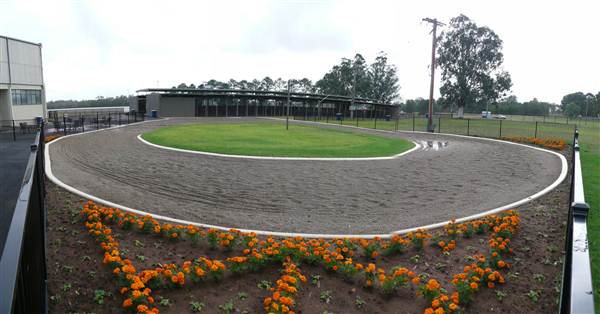 Menangle Park Paceway (28/02/2013 3:25:17 PM)