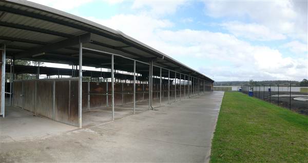 Menangle Park Paceway (28/02/2013 3:26:00 PM)