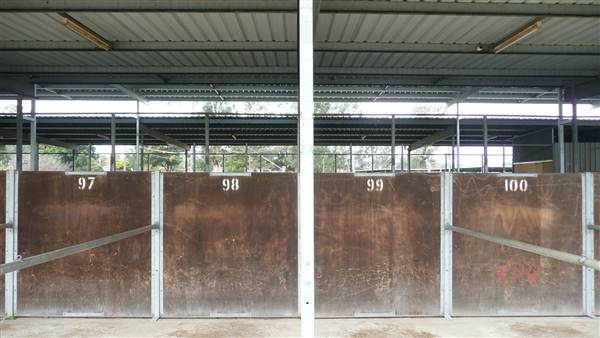Menangle Park Paceway (28/02/2013 3:35:47 PM)
