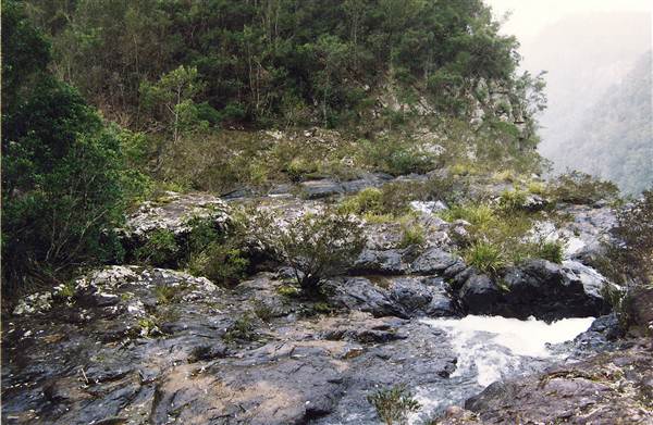 Ellenborough Falls (28/02/2013 4:32:46 PM)