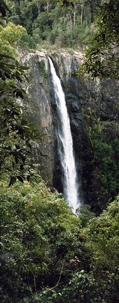 Ellenborough Falls (28/02/2013 4:33:24 PM)