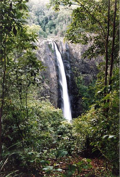 Ellenborough Falls (28/02/2013 4:33:58 PM)