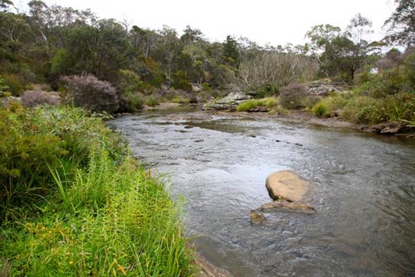 Berrima Reserve (28/02/2013 9:35:27 PM)