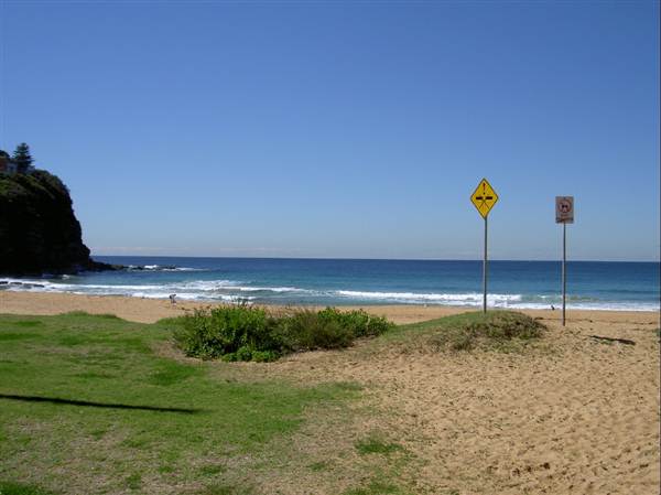 Bilgola Beach (1/03/2013 10:13:42 AM)