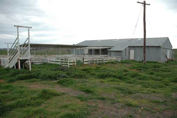 Boorowa (1/03/2013 11:30:05 AM)