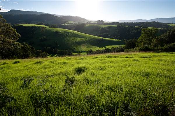 Jamberoo (1/03/2013 11:34:13 AM)