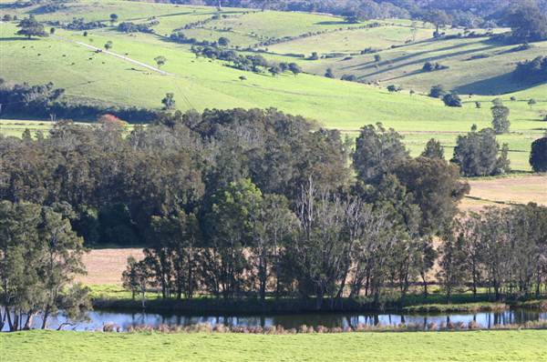 Jamberoo (1/03/2013 11:36:37 AM)