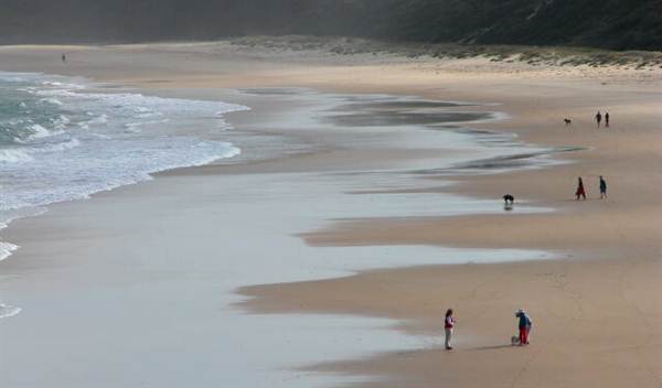 Racecourse Beach (1/03/2013 11:38:26 AM)