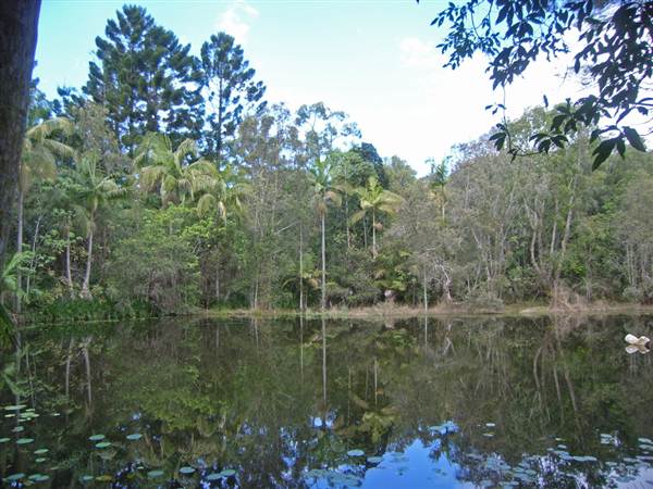 Private Property (1/03/2013 11:47:39 AM)