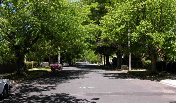 Bowral - Southern Highlands (1/03/2013 11:49:53 AM)