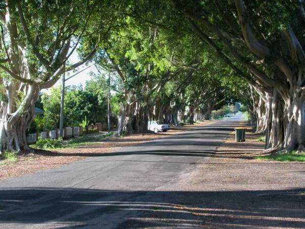 Briemba St, Grafton (1/03/2013 12:06:29 PM)