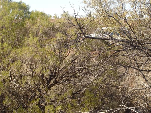Broken Hill Area (1/03/2013 7:36:54 PM)