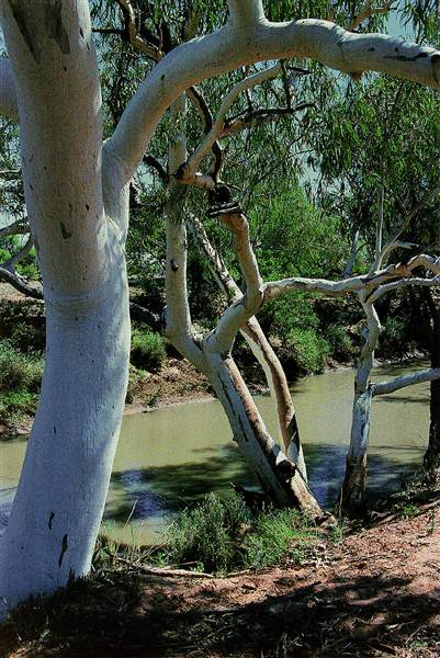 Broken Hill Area (Inc. Silverton) (1/03/2013 8:00:00 PM)