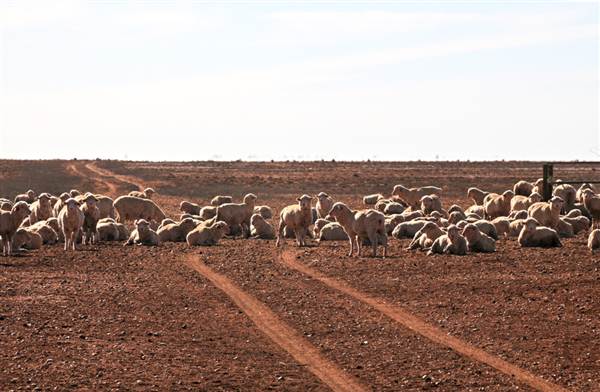 Broken Hill Area (Inc. Silverton) (1/03/2013 9:01:00 PM)