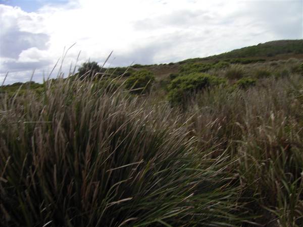 Broughton Island (2/03/2013 3:24:15 PM)
