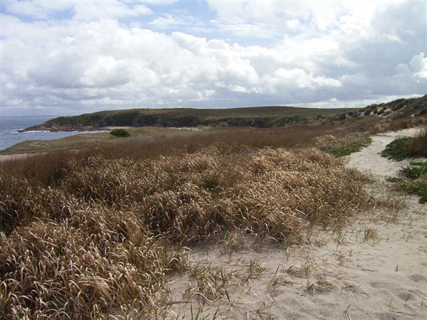 Broughton Island (2/03/2013 3:27:06 PM)