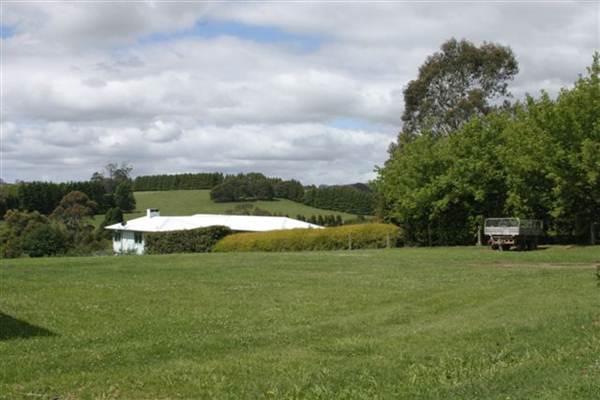 Burrawang - Southern Highlands (2/03/2013 9:48:56 PM)