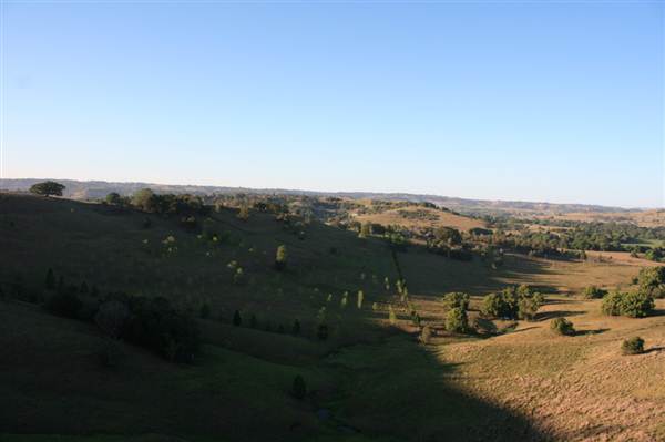 Byron Hinterland-Hot Air Balloon (2/03/2013 11:00:02 PM)