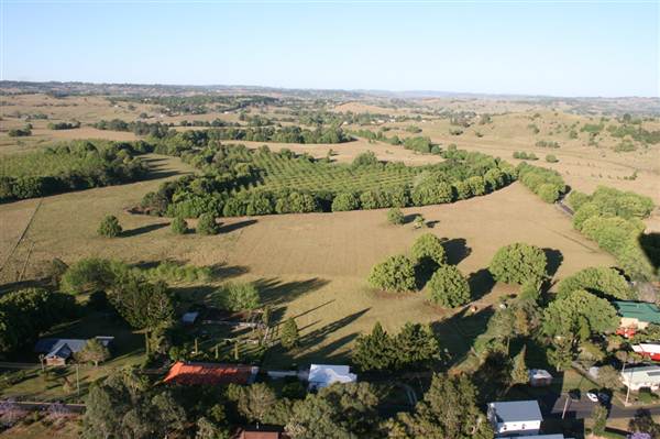 Byron Hinterland-Hot Air Balloon (2/03/2013 11:01:18 PM)
