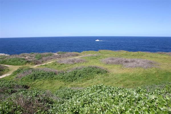 Cape Banks (3/03/2013 8:27:13 AM)