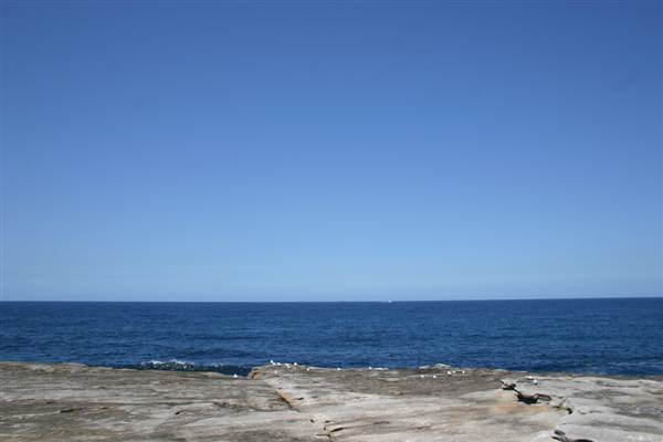 Clovelly Bay (3/03/2013 4:35:07 PM)