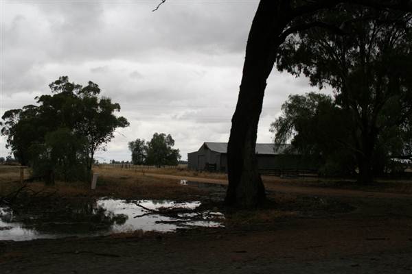 Collingullie (4/03/2013 10:38:01 AM)