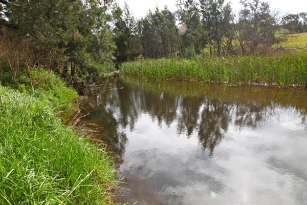 Cox's River at Duddawarra Bridge (4/03/2013 11:35:53 AM)