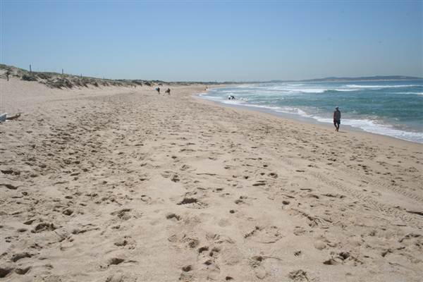 Cronulla Beach (4/03/2013 11:45:36 AM)