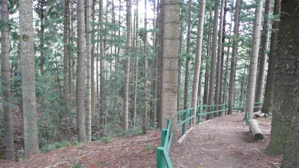 Cumberland State Forest (4/03/2013 12:06:02 PM)