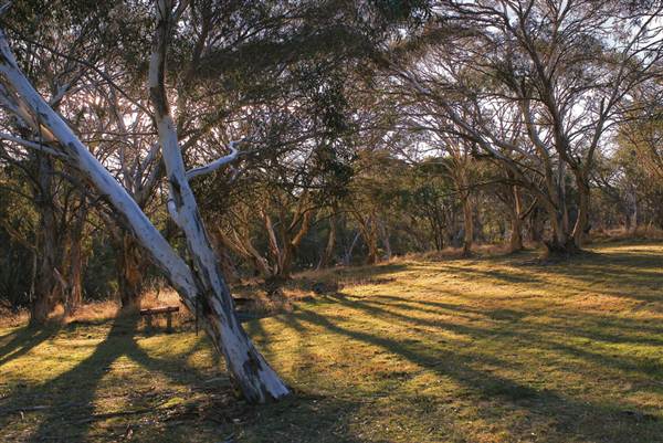 Currango Homestead (4/03/2013 12:13:21 PM)