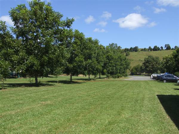 'Eltham Valley Pantry' Nut, Coffee & Olive Farm (4/03/2013 12:28:52 PM)